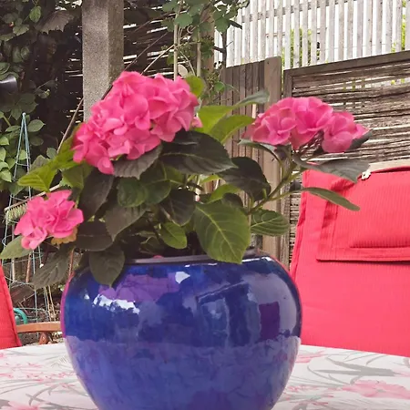 Resi's Mit Bad Und Terrasse Mistelgau